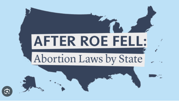 Laws on Abortion Protections Fresh Battle Among the States